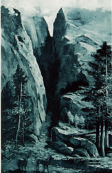 Deer pass into the Canon of the Merced below Mount 